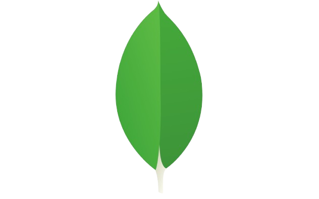 MongoDB